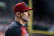 Diamondbacks manager Torey Luvollo: Imagn