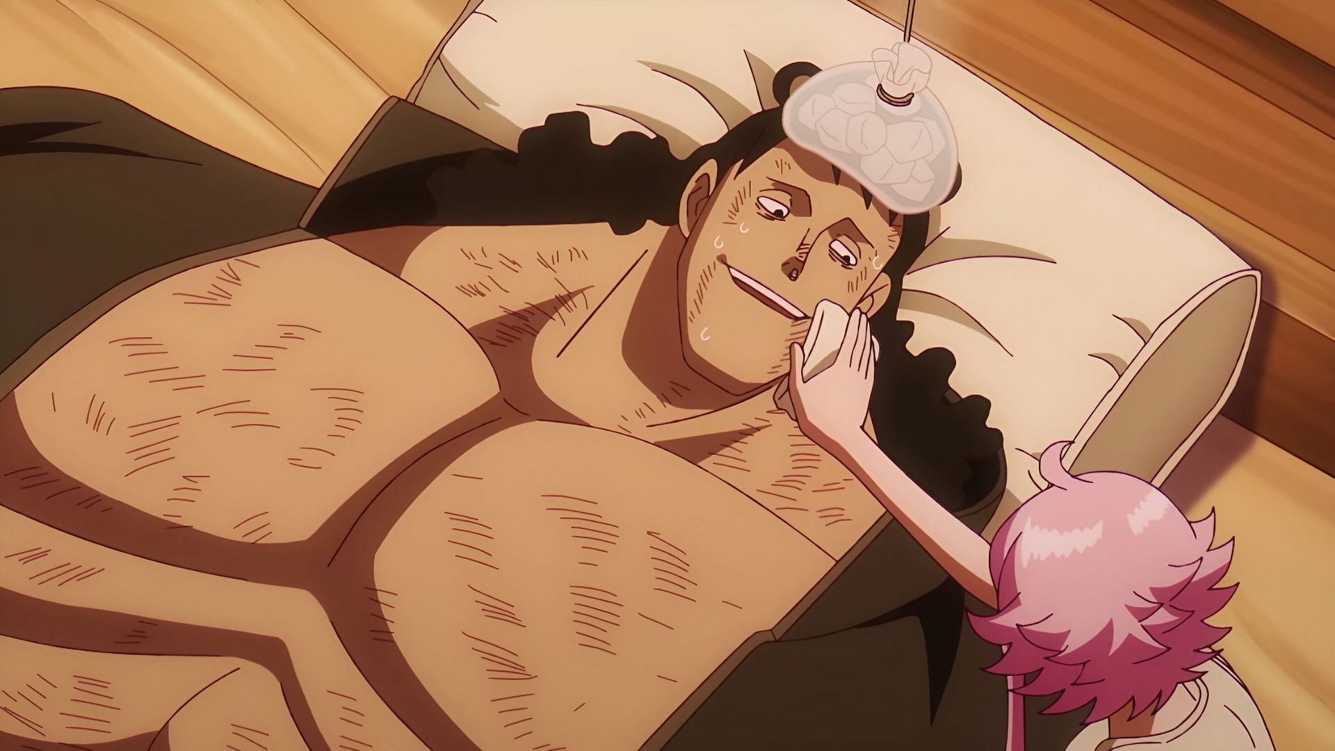 One Piece episode 1131 review: From tranquility to tragedy Toei Animation delivers masterful direction (Image via Toei Animation)