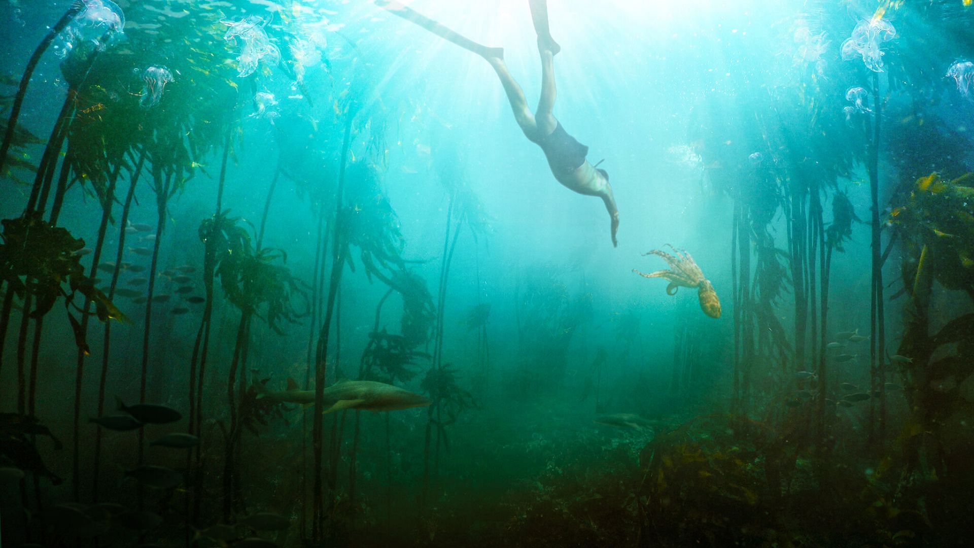 Best nature documentaries on Netflix (image via Netflix)