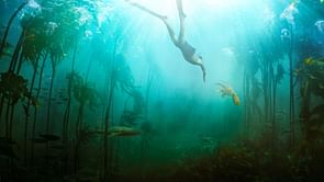 7 best nature documentaries to stream on Netflix