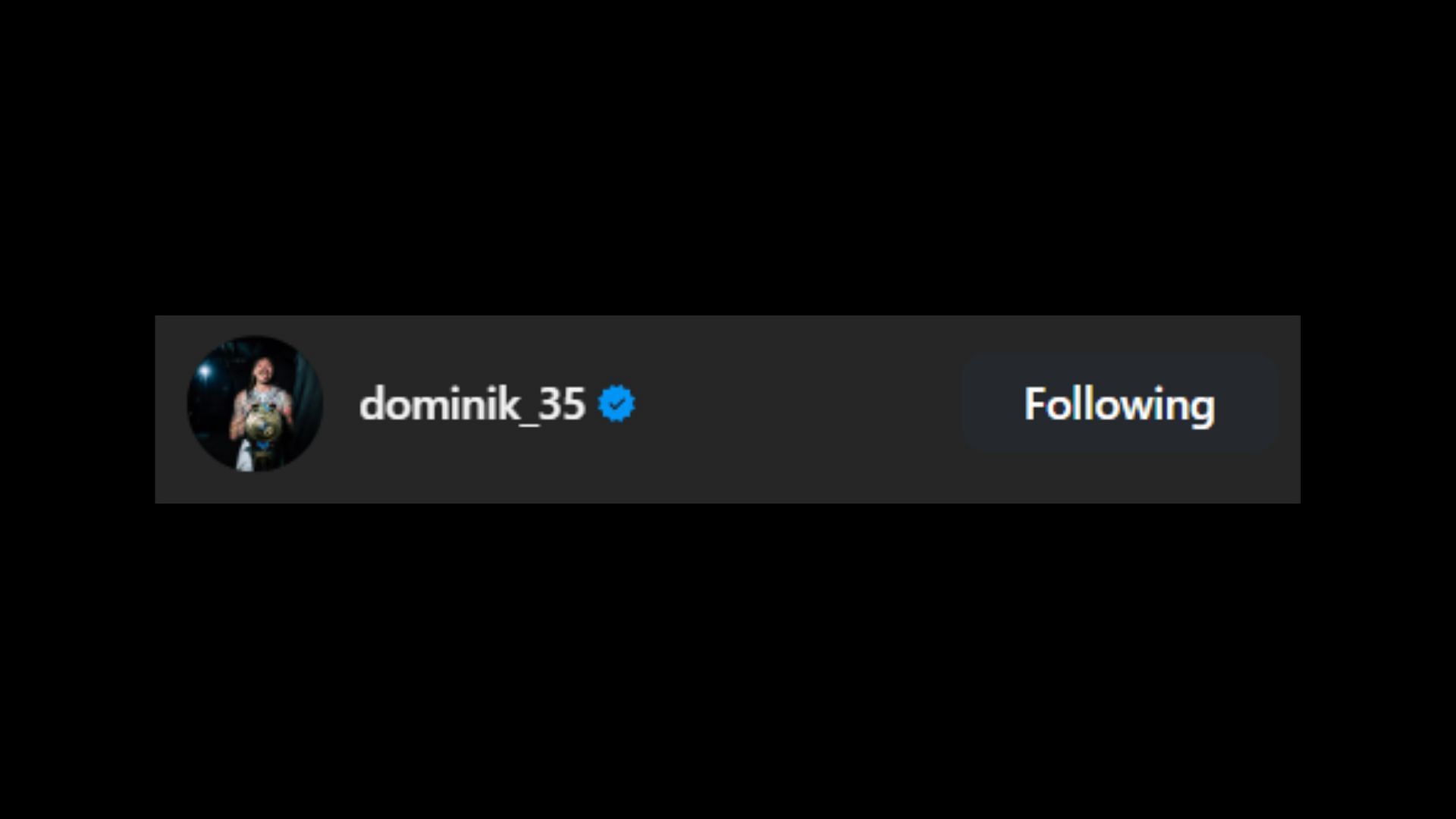 Screenshot of Dominik Mysterio&#039;s like [Image credit: Rhea Ripley&#039;s Instagram handle]
