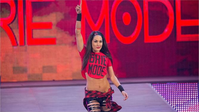 Brie Bella sends a message after making appearance outside WWE