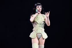 "What's the beef with Labubus?"- Internet calls out Katy Perry over viral video of smacking a Labubu doll out of fan's hand