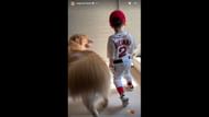 Screenshot of Reagan Elizabeth's Instagram story featuring her son Knox, and dog Hank (Images from - Instagram.com/@reaganelizabeth IG Stories)