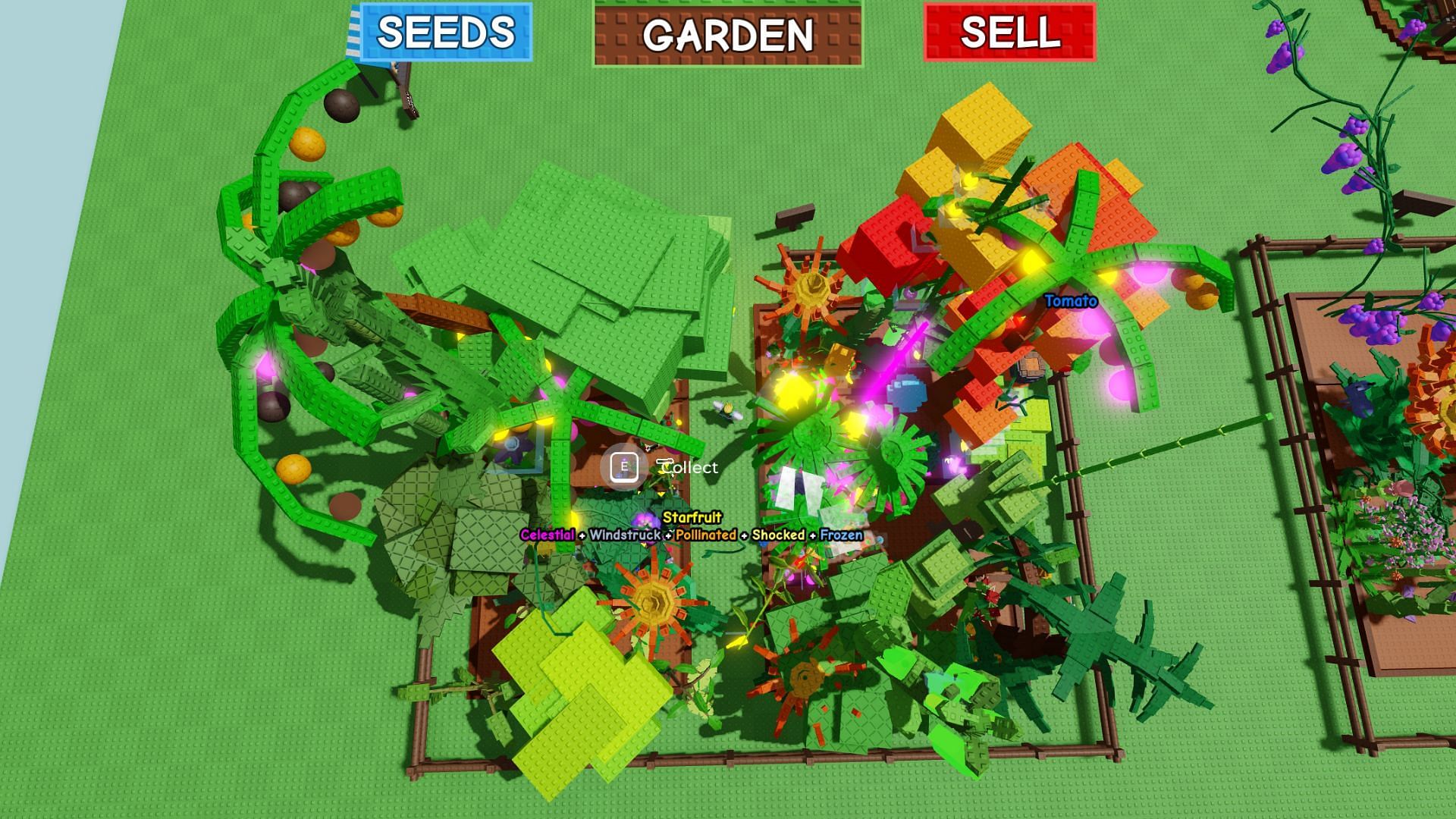 Rostlina více skromných plodin pro zvýšení vašich šancí (obrázek přes Roblox)