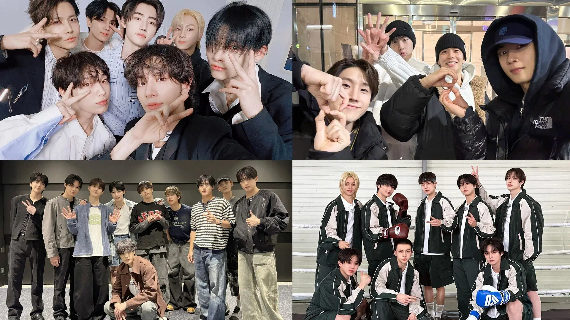ASTRO, ENHYPEN, Stray Kids and THE BOYZ (Image via X/@ENHYPEN_members, @THEBOYZ_officl, @ASTRO_Staff, @Stray_Kids)