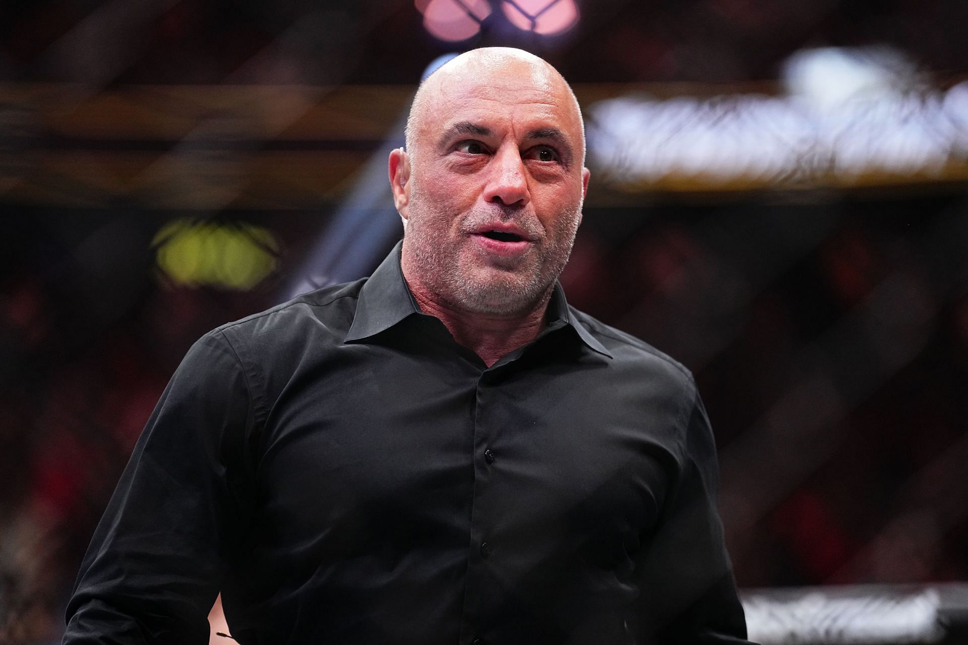 Joe Rogan explains how Elon Musk's $480 billion-worth SpaceX is similar to Soapbox Derby vehicles: "Using really ancient technology"