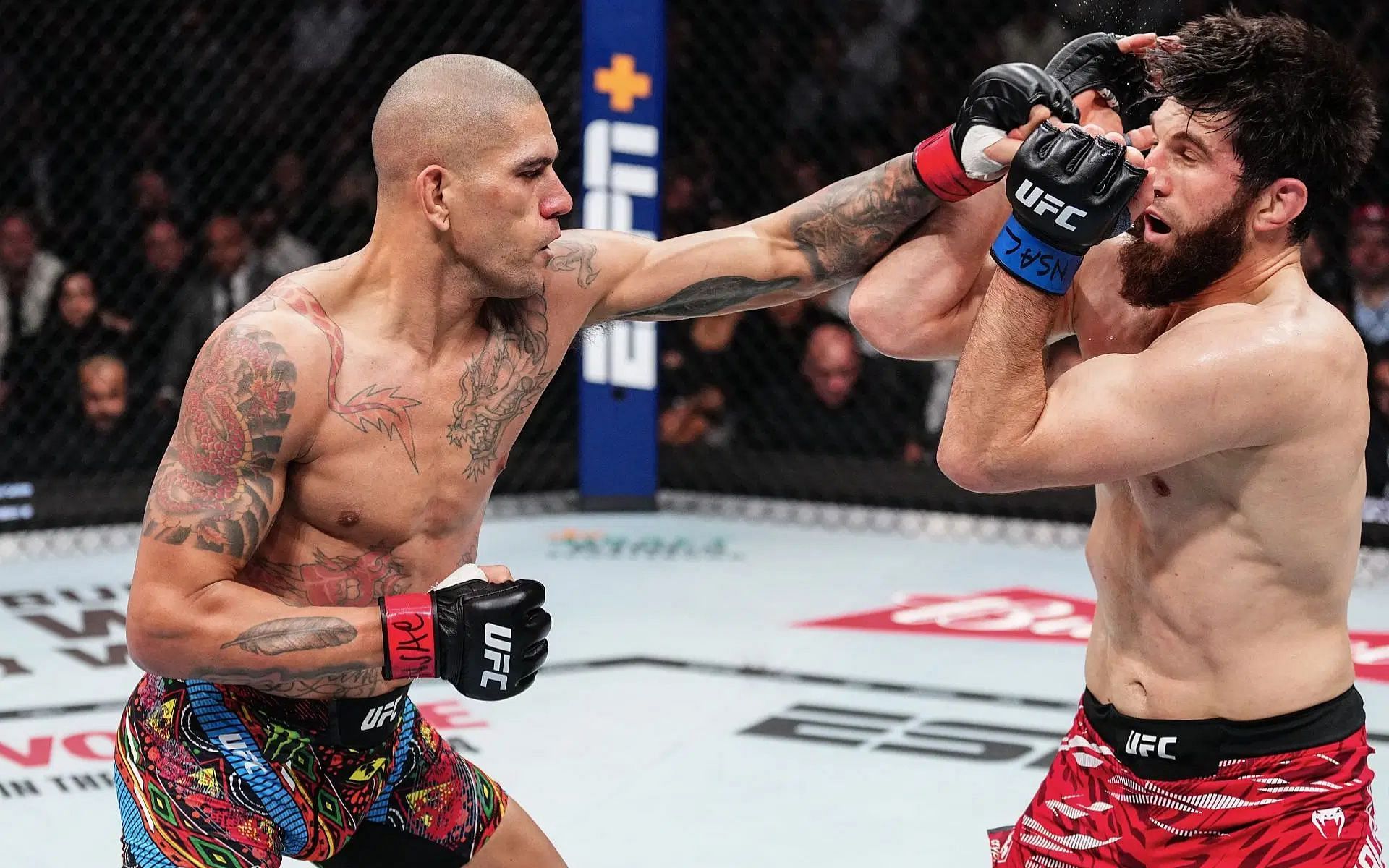 Alex Pereira answers whether Magomed Ankalaev is the toughest opponent hes ever faced