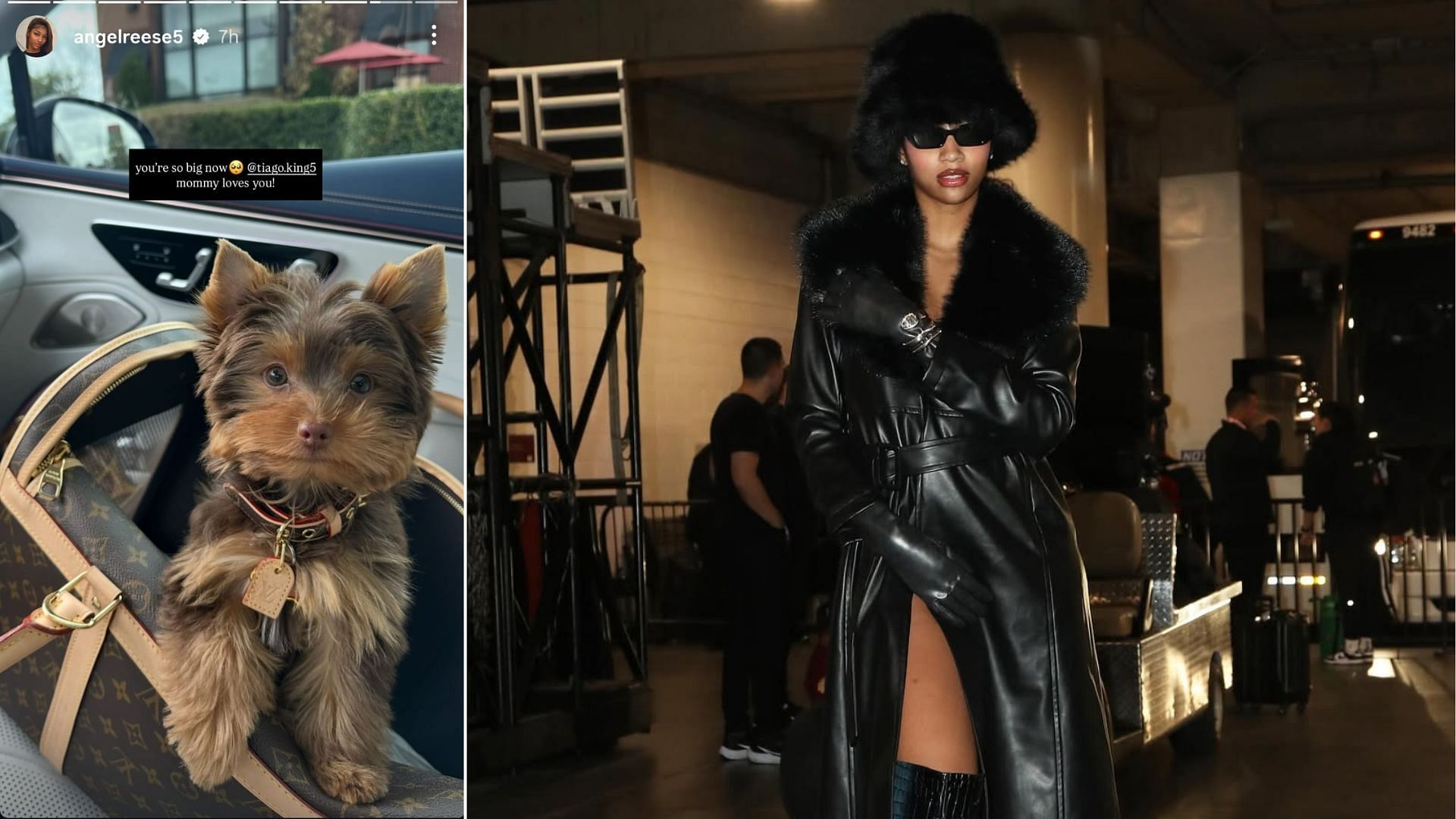 Angel Reese shares heartfelt birthday wish for pet dog