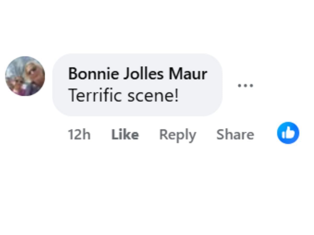 Comments by fans on the post (Image via Facebook/@Jennifer Sander)