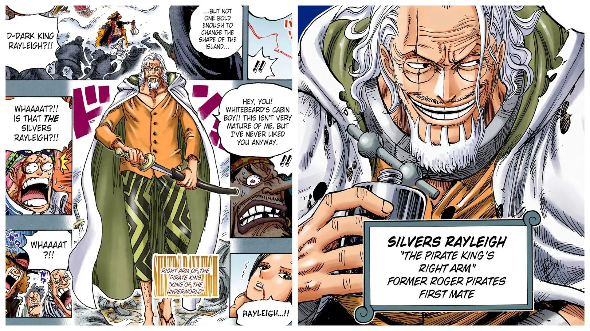 No one can doubt that Rayleigh was the number two of the Roger Pirates (Image via Shueisha)