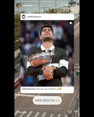 Screenshot of Alex Palou's Instagram story via @alexpalou