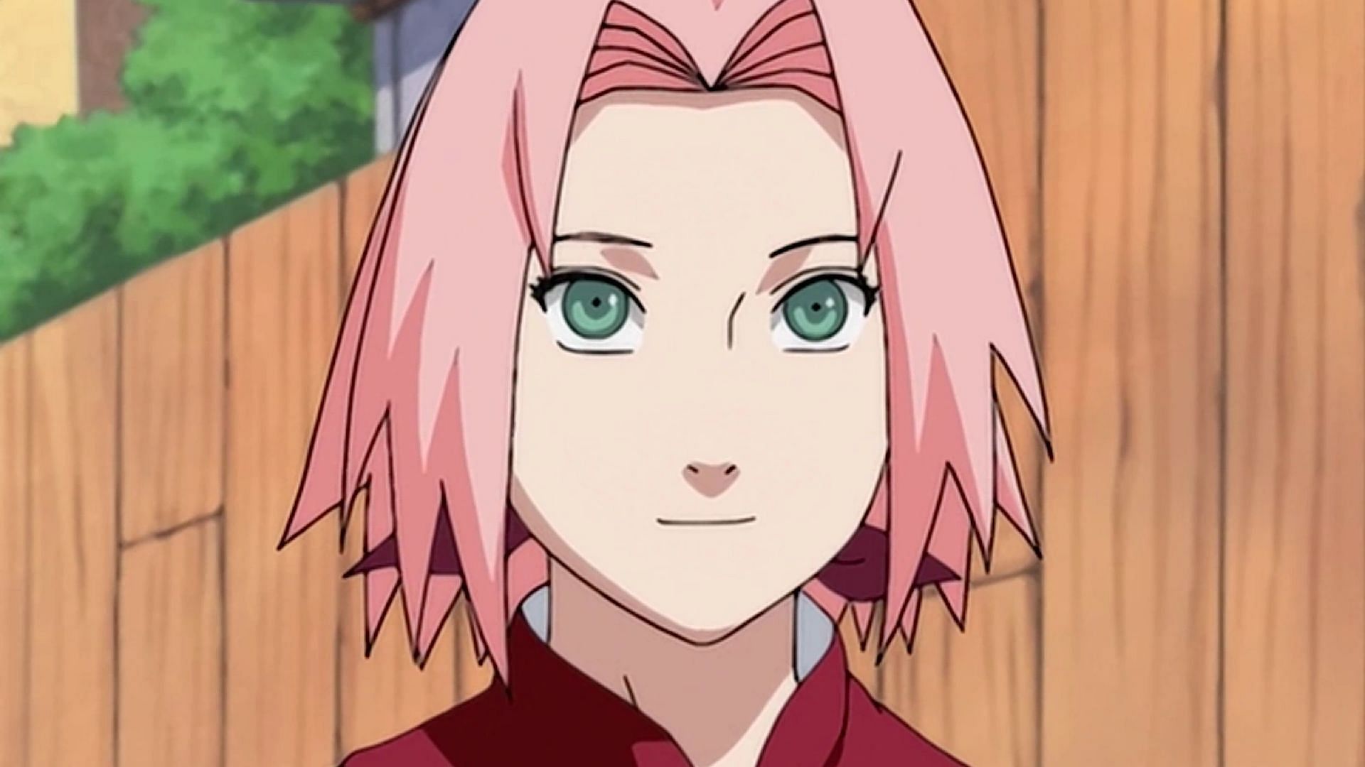 It is strange that Sakura has not made any appearance in Two Blue Vortex (Image via Studio Pierrot)