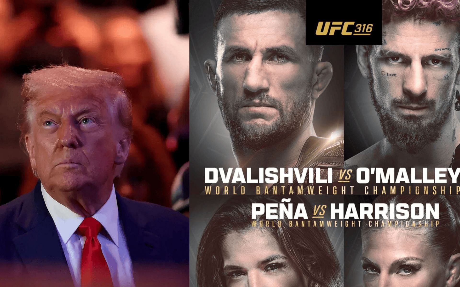 Who is sitting next to Donald Trump at UFC 316? Exploring who got the privilege of enjoying the event with the US President