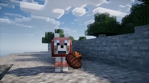 Best food for wolves in Minecraft