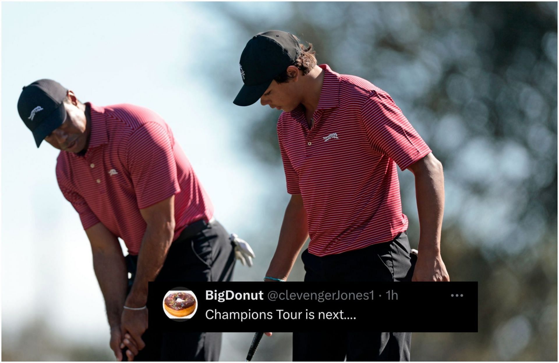 Tiger Woods