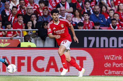 Tomas Araujo