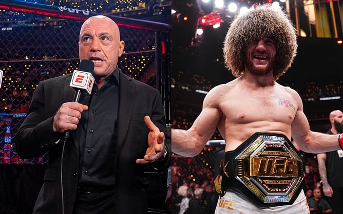 When Joe Rogan and a UFC legend geeked out over Merab Dvalishvili's unparalleled attributes