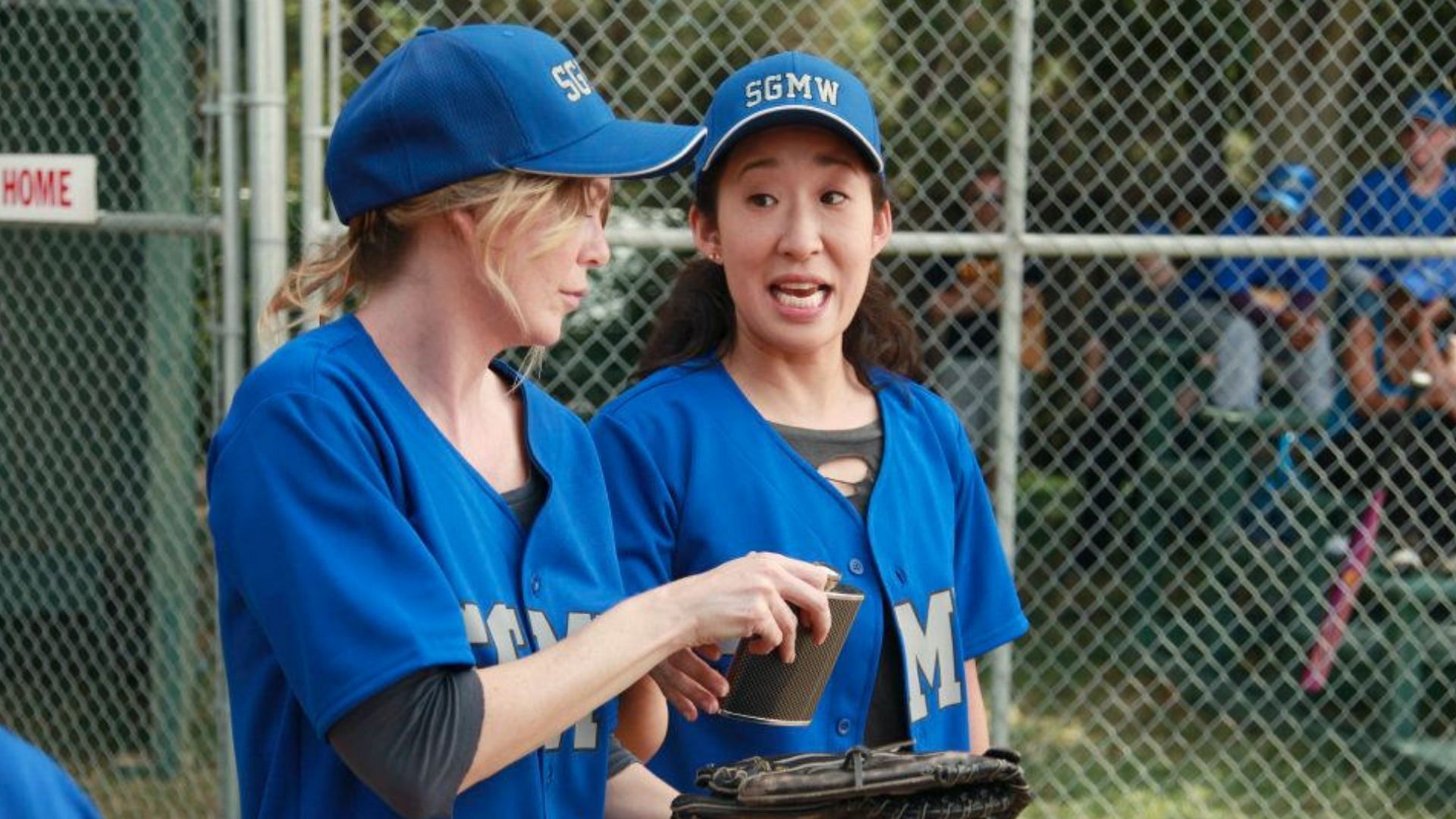 The unwavering friendship between Cristina and Meredith was one of the best things about the show (Image via Official Facebook Page)