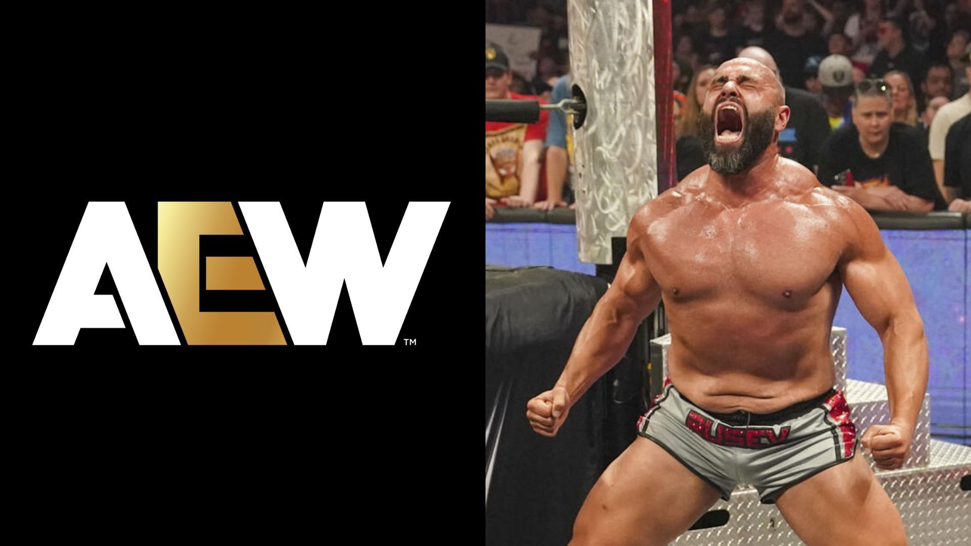 "Good riddance" - AEW star takes a massive dig at Rusev for returning to WWE