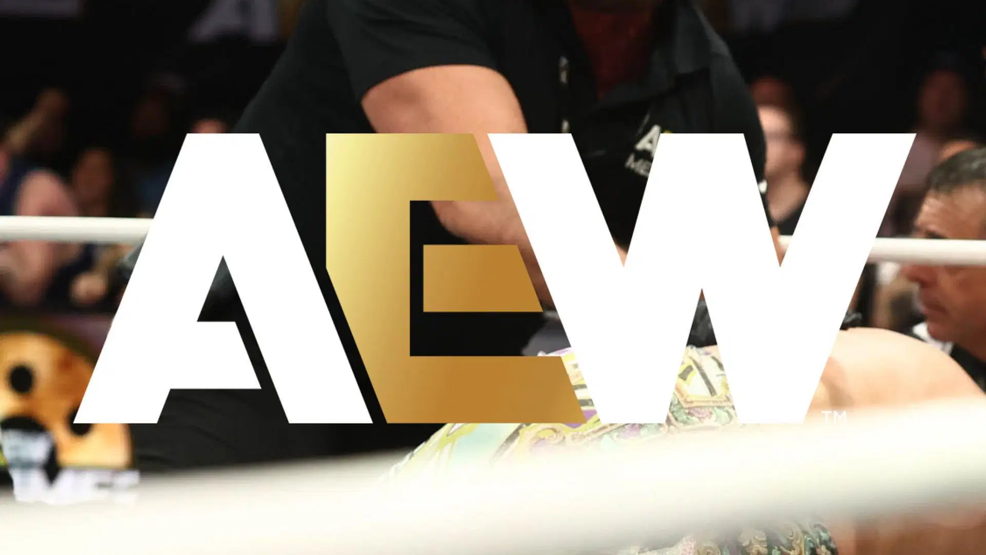 All Elite Wrestling is a Jacksonville-based promotion led by Tony Khan [photo: allelitewrestling.com]