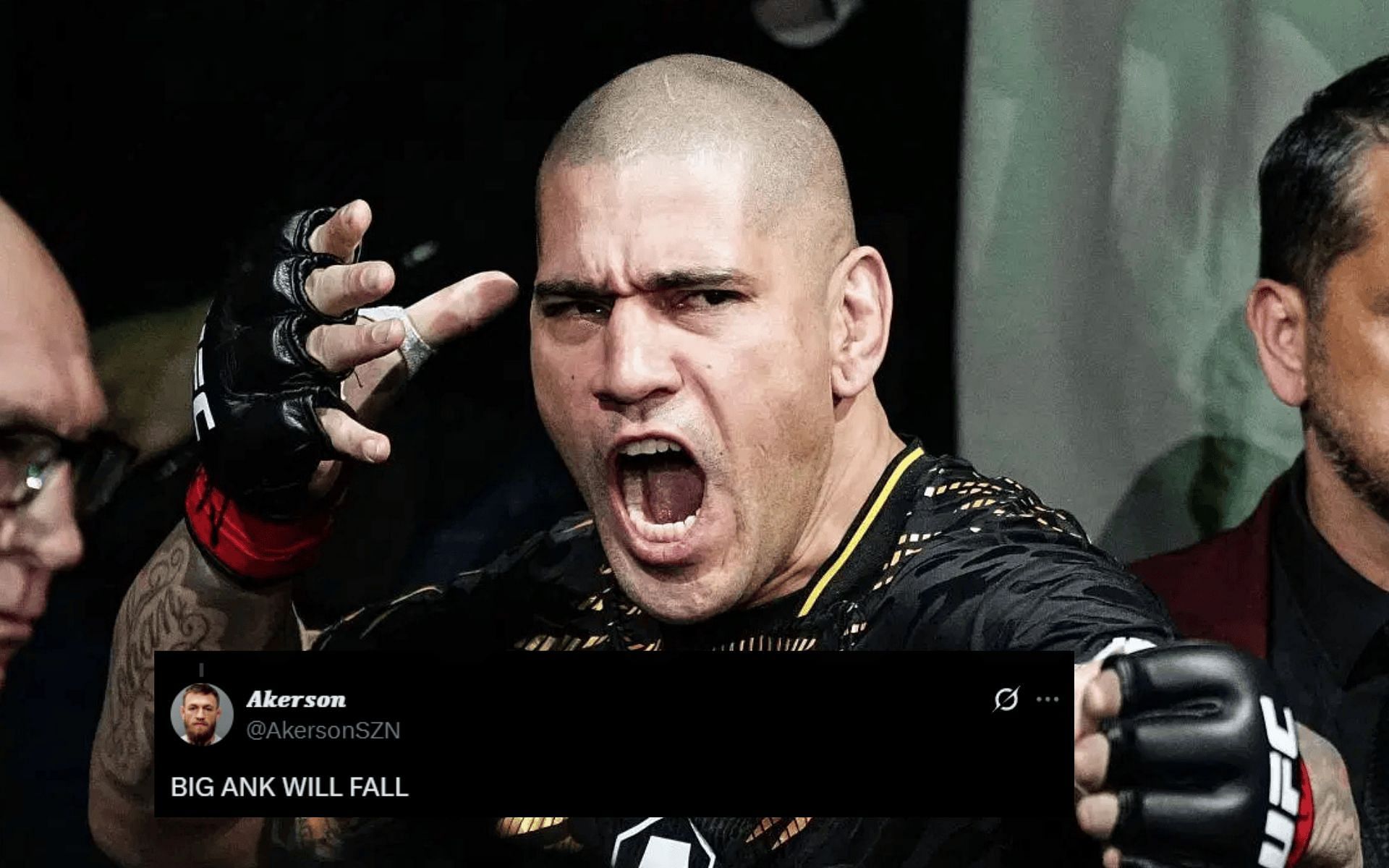 Fans react to Alex Pereira