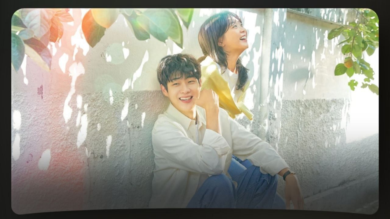 Featuring Our Beloved Summer cast (Image via Netflix website)