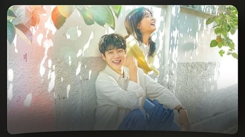 Featuring Our Beloved Summer cast (Image via Netflix website)