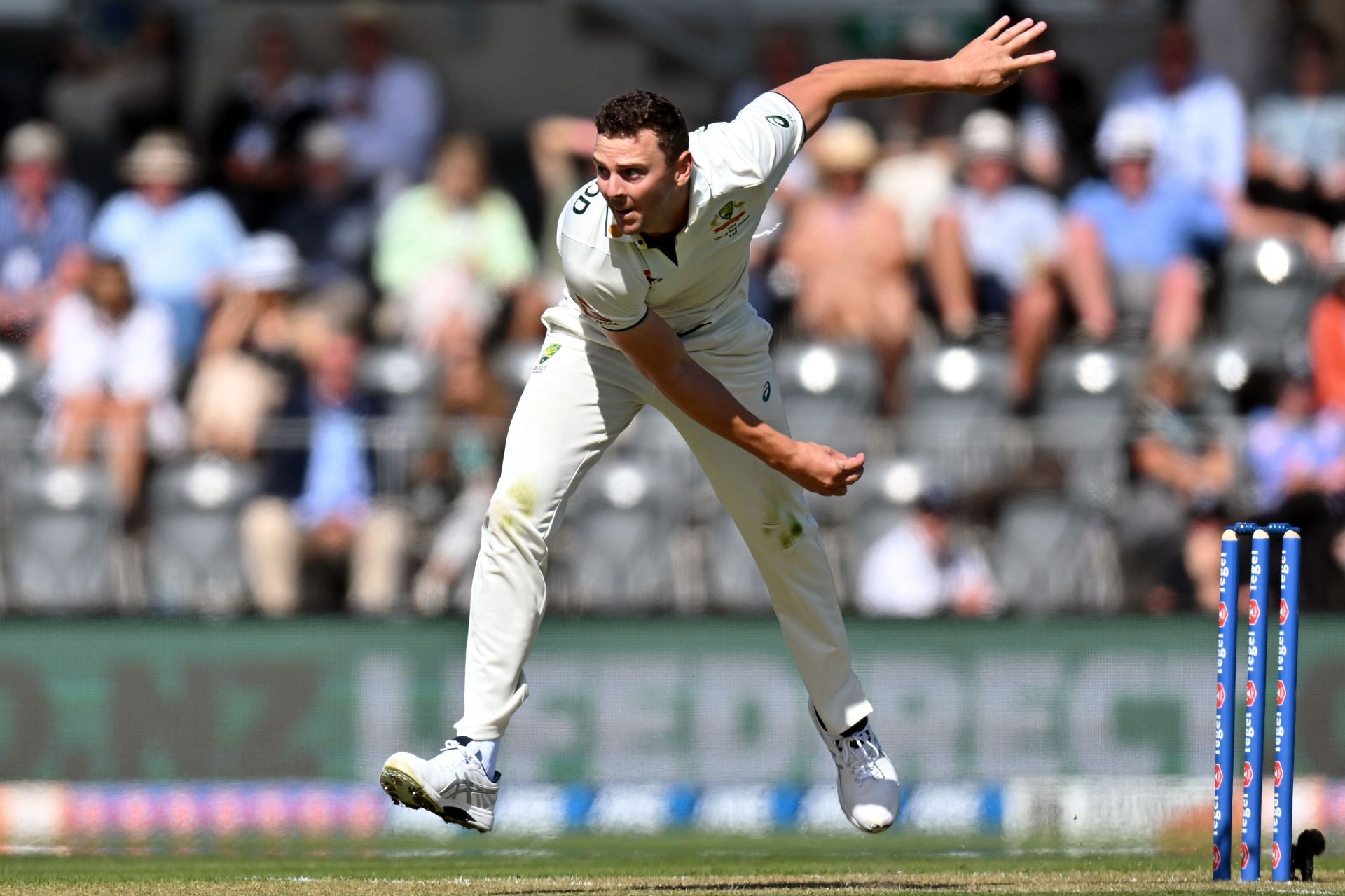 New Zealand v Australia - Men