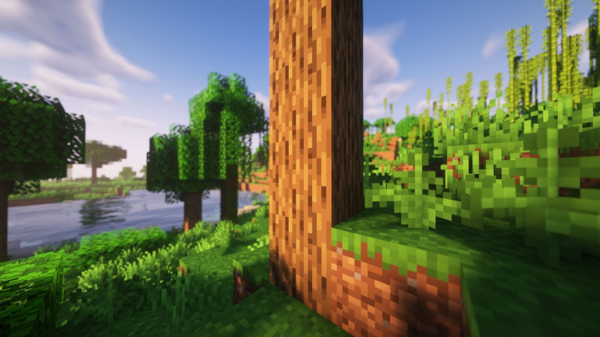 Wood can also burn when players run out of coal (Image via Sportskeeda Gaming || Mojang Studios)