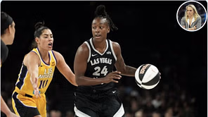 Aces HC Becky Hammon announces possible new role off the bench for disappointing $249,032 acquisition