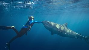 Shark Whisperer: Release date & time, where to watch, and more