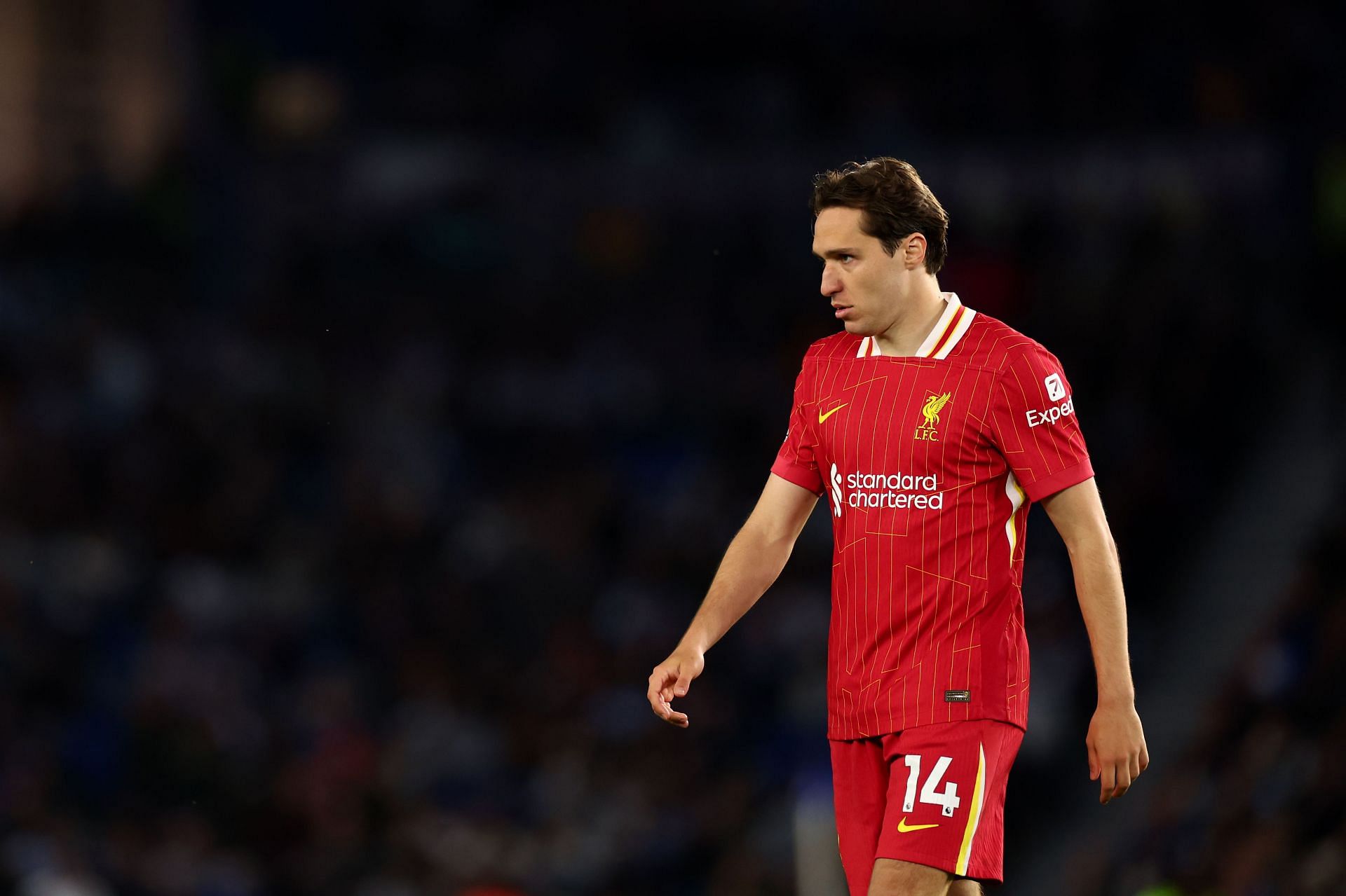 Brighton &amp; Hove Albion FC v Liverpool FC - Premier League - Source: Getty