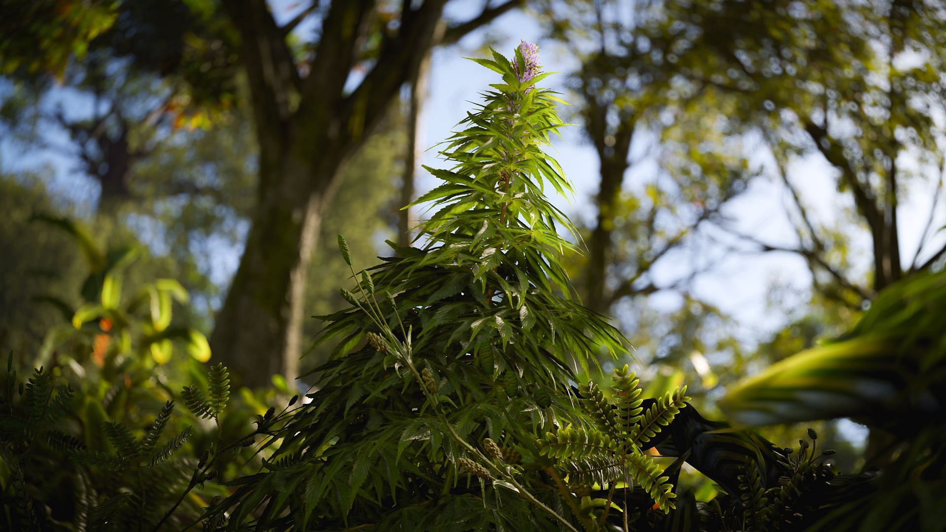New hemp in Rust jungle biome (Image via Facepunch Studios)