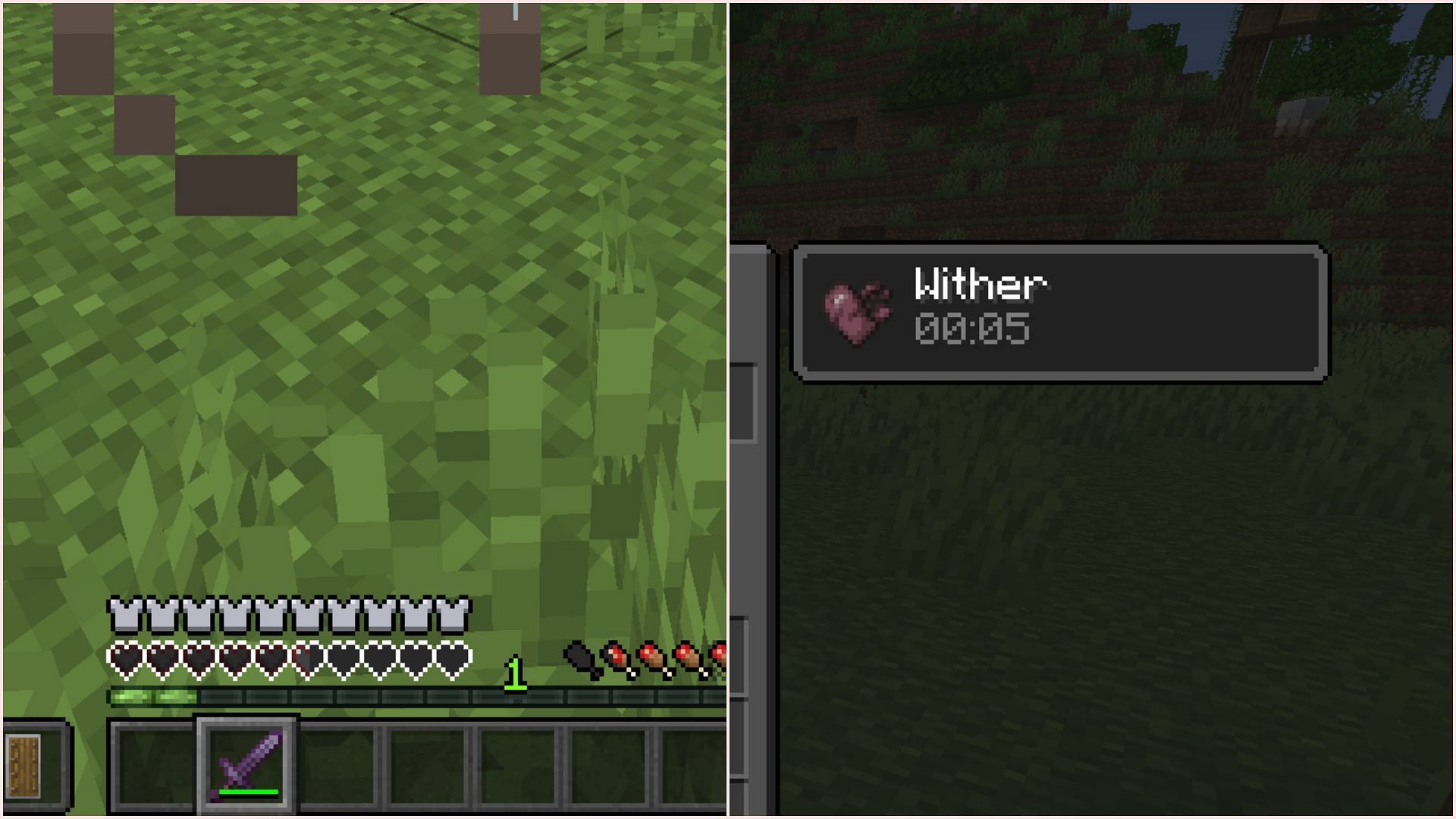 Wither effect is a unique negative effect that affects entities and players (Image via Sportskeeda Gaming || Mojang Studios)