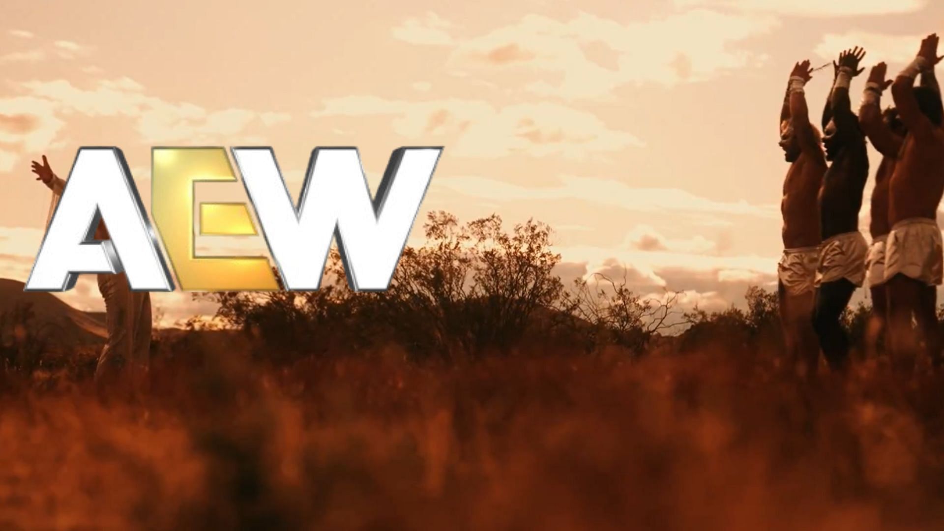 A beloved AEW-ROH babyface has returned from injury [Image Credits: X profile of ROH, AEW