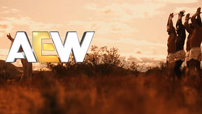 AEW star makes shocking return; finally shows up after 330 days