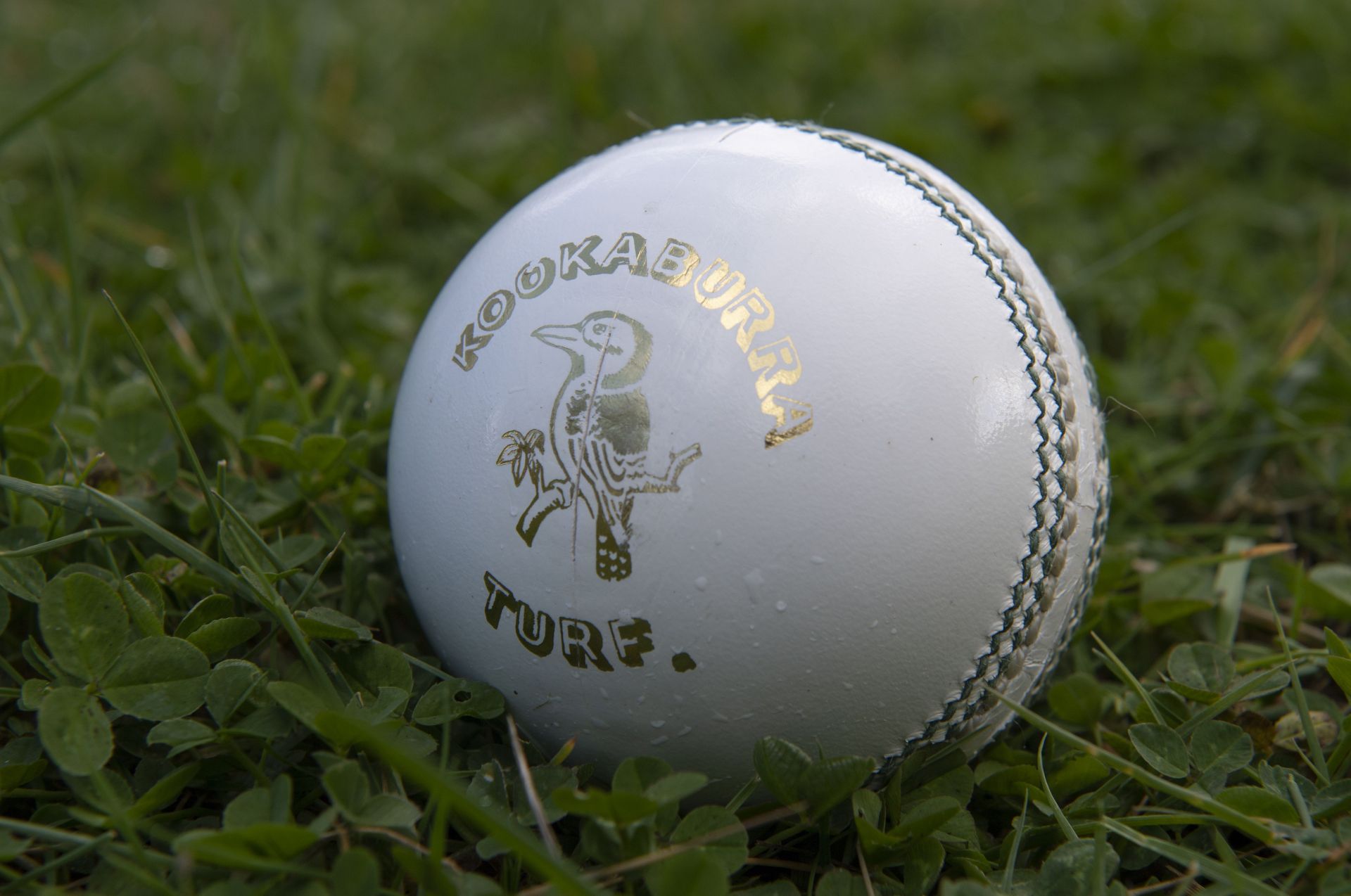Explained: What is the new two-ball rule for ODIs?