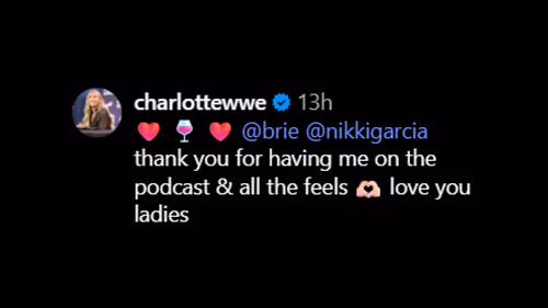 Screenshot of Charlotte Flair's comment. [Image via Nikki Bella's Instagram]