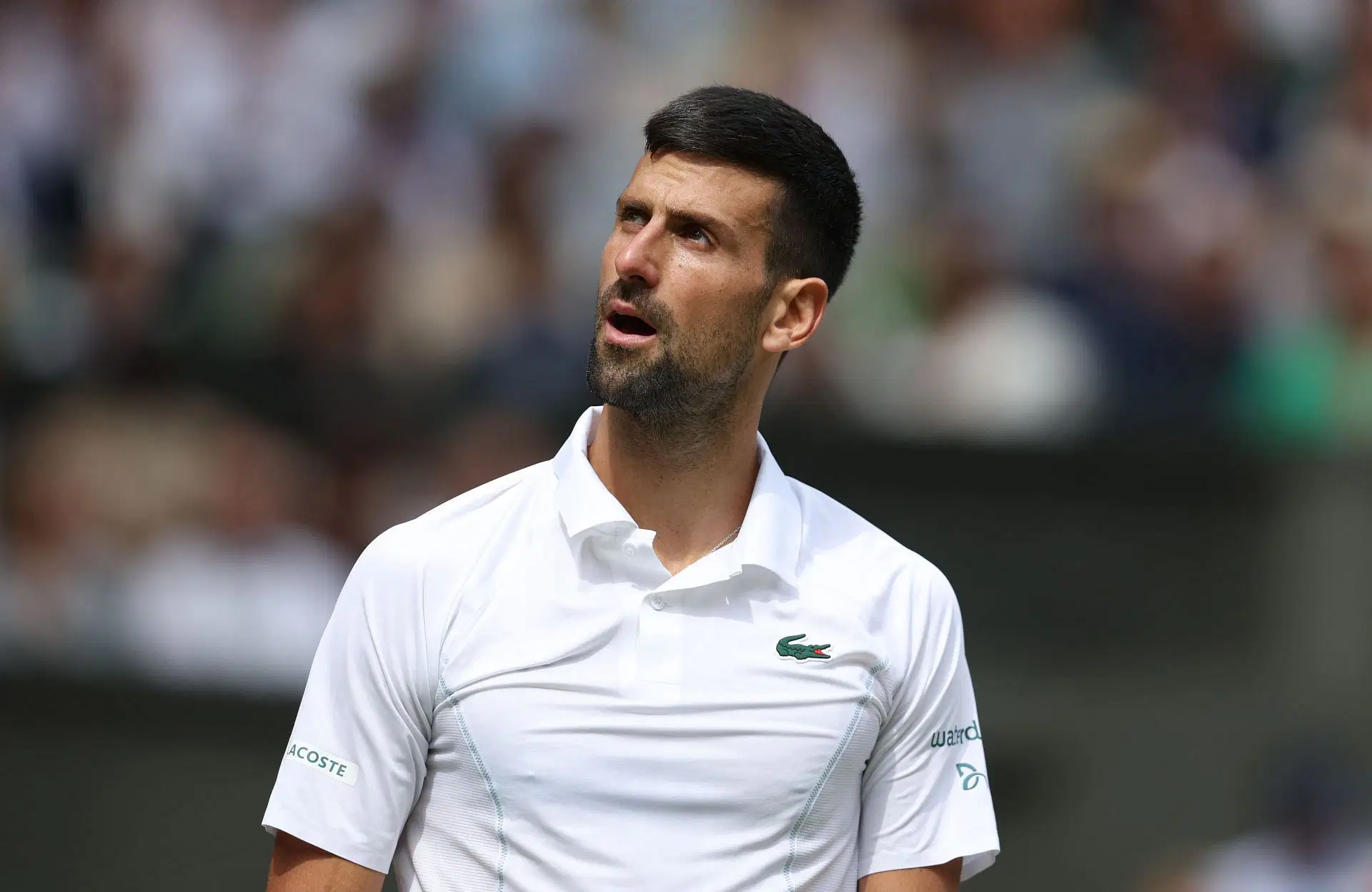 Wimbledon 2025 Dresscode: What Players & Spectators MUST Wear