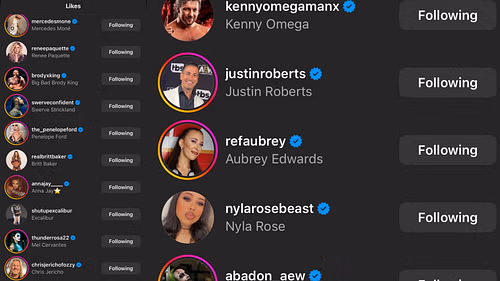 Wrestlers who liked Will Ospreay's IG post [Source : Instagram]