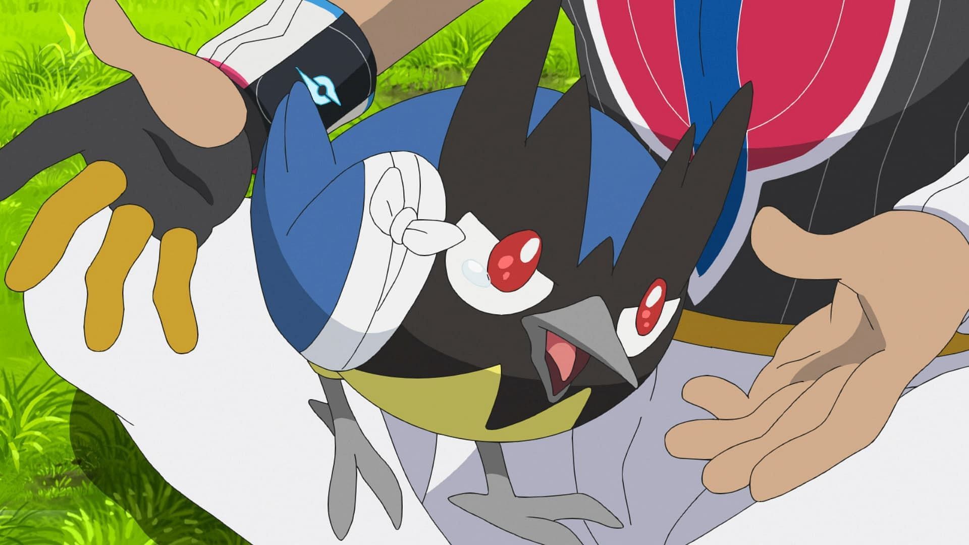 Rookidee as seen in the anime (Image via The Pokemon Company)
