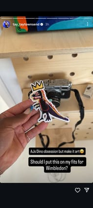 Taylor Townsend is moved by son Jayden's new obsession: Dinosaurs I Image Source: Instagram