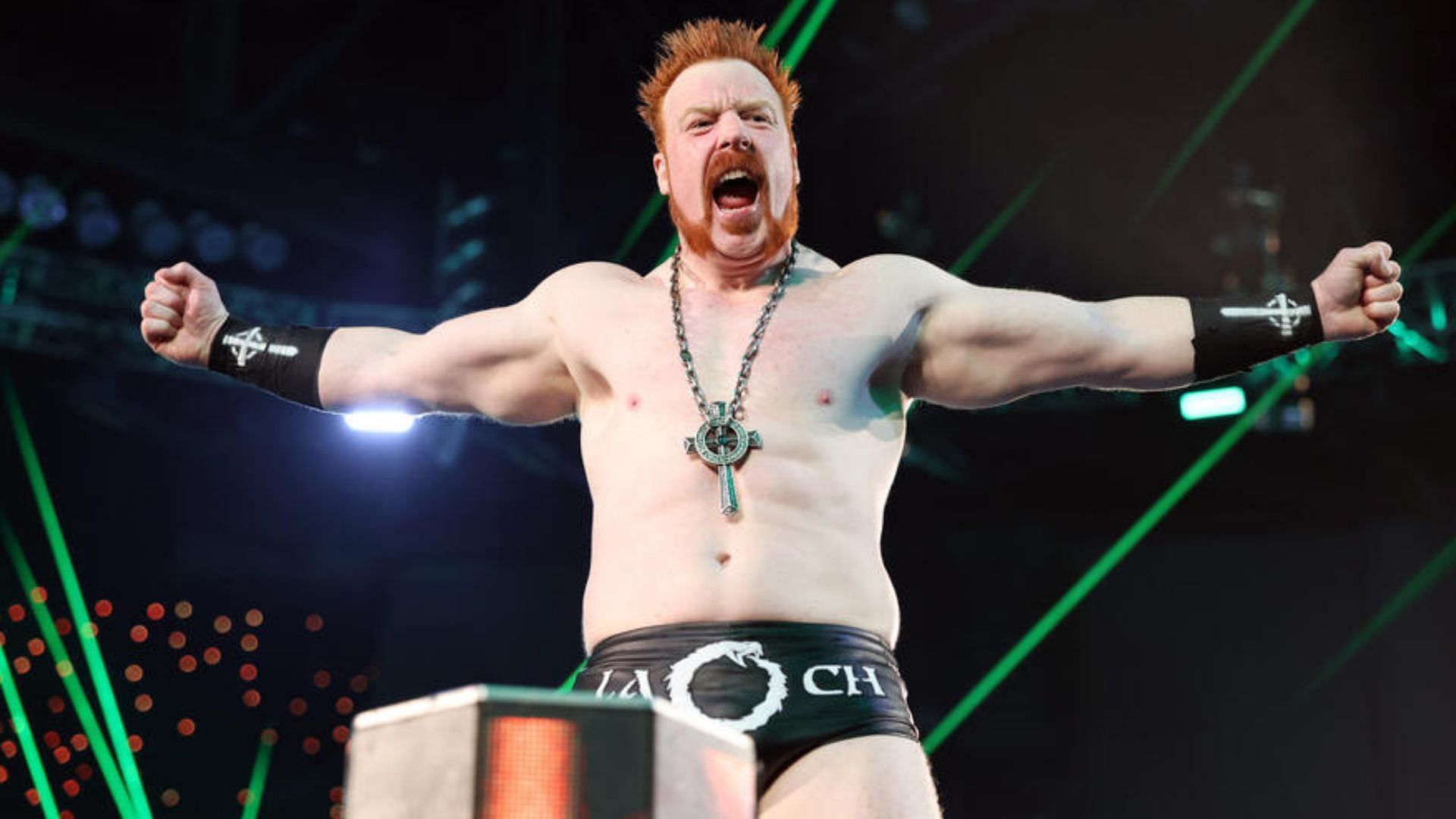 Sheamus is a former 4-time World Champion! [Image credit: WWE.com]