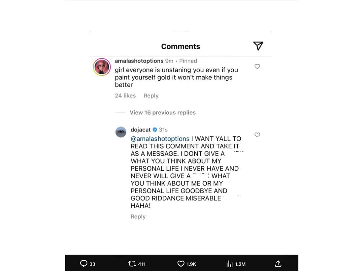 Doja's response to a netizen's negative comment (Image via X/@dailytaylortea)