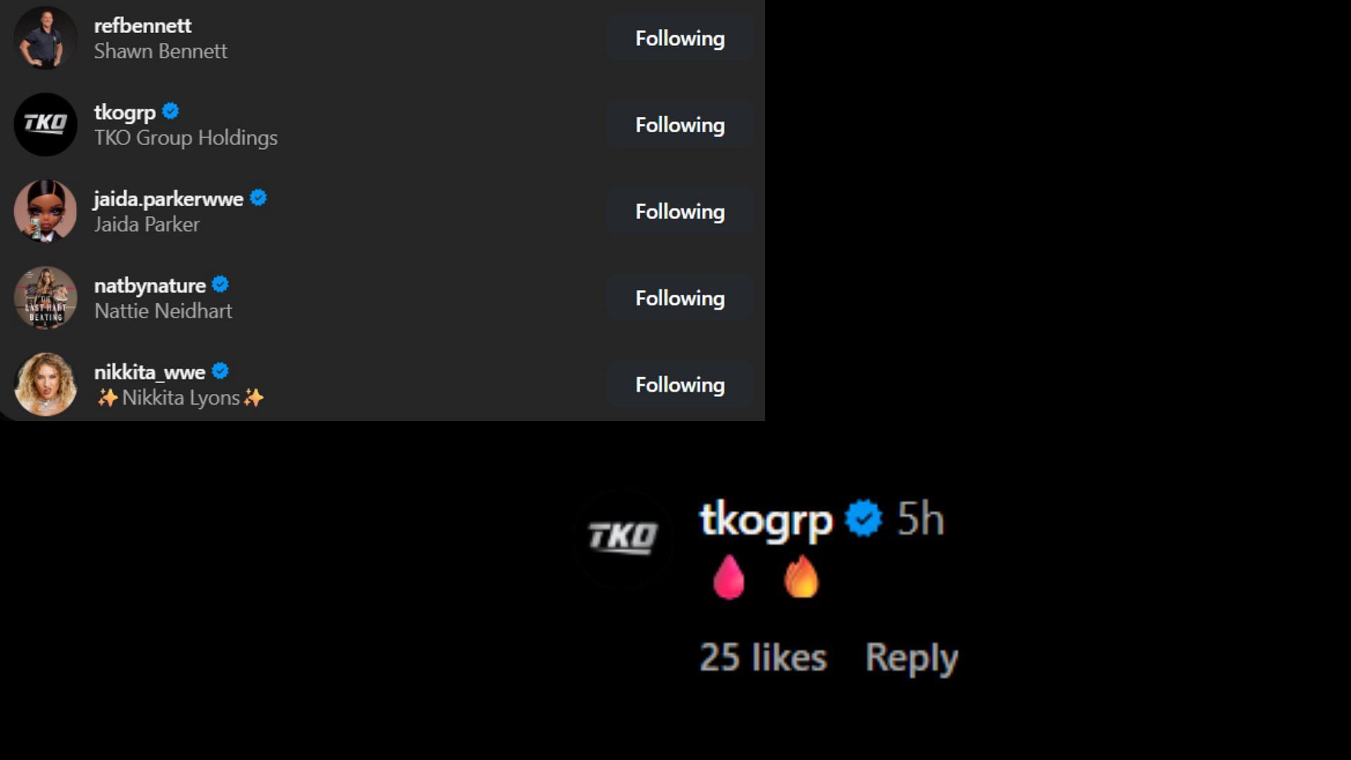 Screenshot of stars&#039; likes and TKO&#039;s comment [Image credit: Jacob Fatu&#039;s fan account on Instagram]
