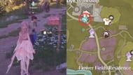 Location of the My Florist Sheep Friend quest (Image via Sportskeeda Gaming/Infold Games)