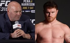 Turki Alalshikh breaks silence on Dana White feud talk, confirms UFC boss will run Canelo Alvarez vs. Terence Crawford: " We have a deal with TKO"