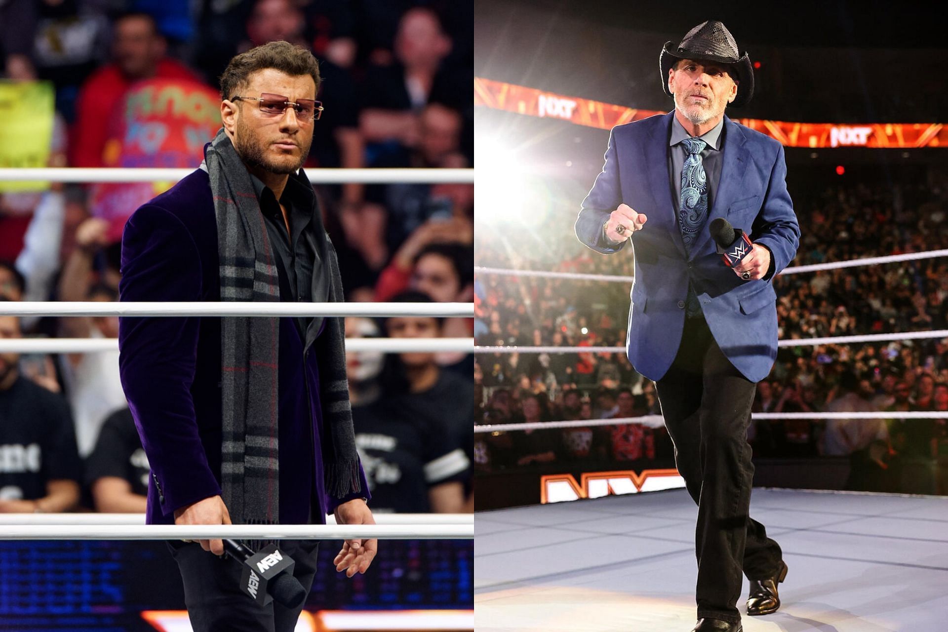 Shawn Michaels AEW