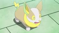 Yamper as seen in the anime (Image via The Pokemon Company)